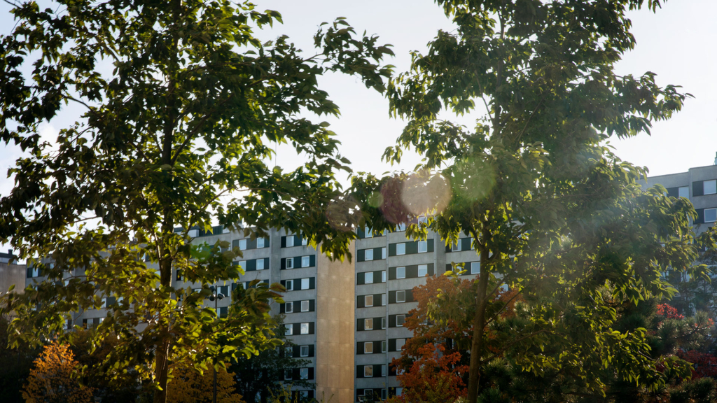 Malmparken med utsikt mot Malmvägen i bakgrunden.