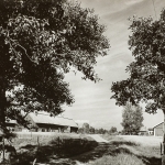 Svartvitt foto av en grusväg som slingrar sig mellan träden upp till en öppen plats där en gård med tre ekonomibyggnader ligger i solskenet.