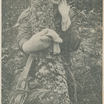 Bildtexten lyder: En flicka sjunker ihop vid ett träd och gråter. "Avbryt sågningen - gå hem" ropar talkörer medan polishundarna skäller. Men snart har poliskedjor rensat området från aktivister och trädfällningen kan börja.