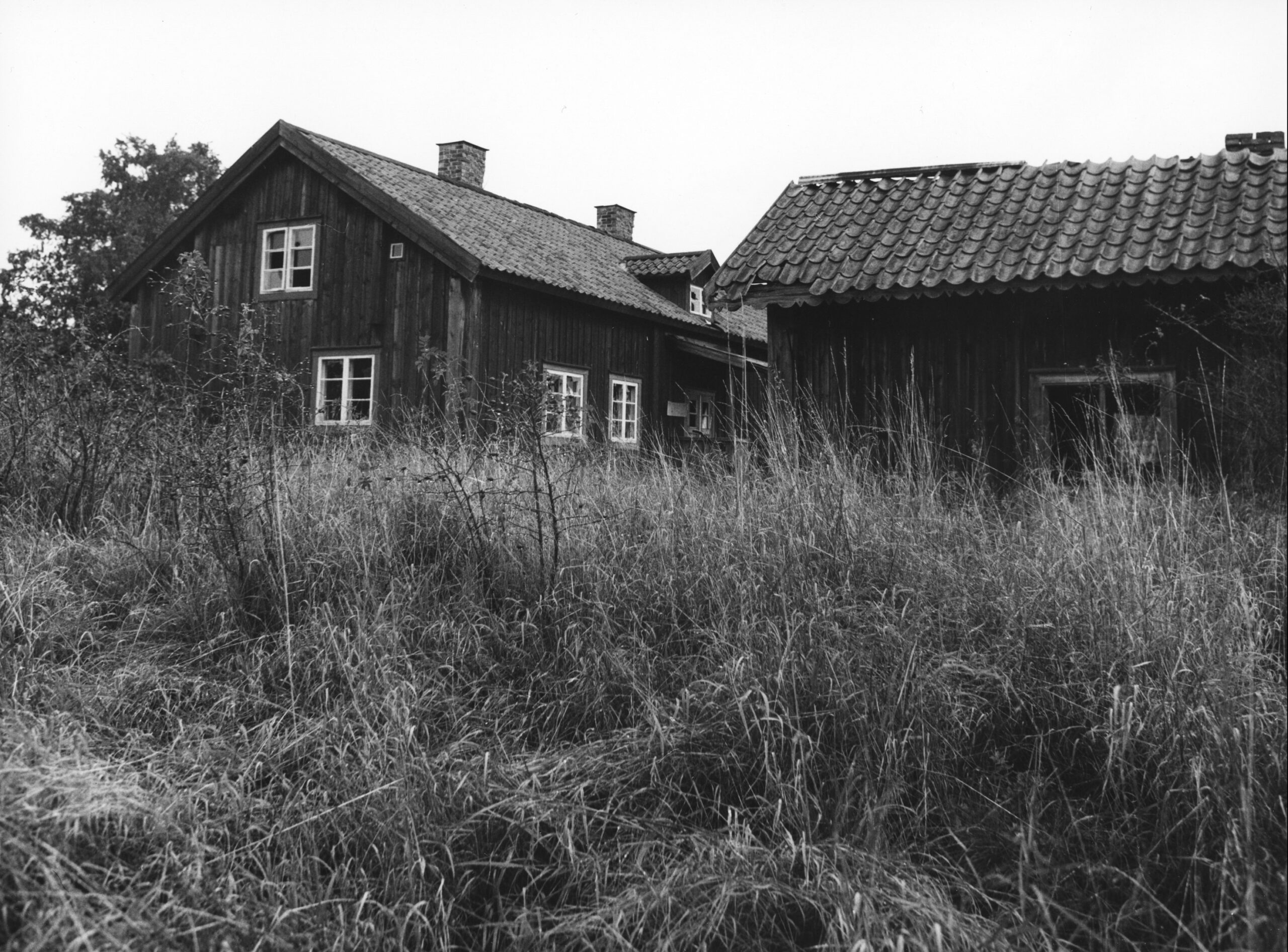 Ett äldre hus med slitet uthus där tegelpannor saknas och en oslagen äng framför.