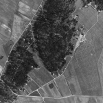 Ett svartvitt flygfoto med lite skog och mest ängar där vissa är prickiga av äppelträd.