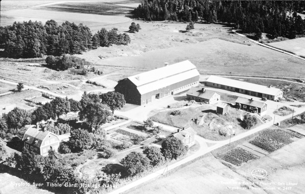 Svartvitt flygfoto. Fyra bostadshus och ladugård med uthus.